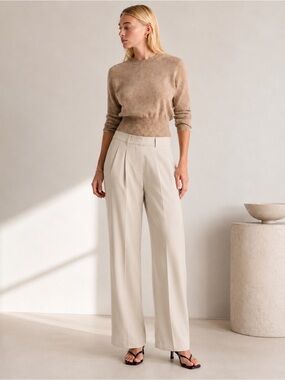 NEW Quince Womens Stretch Crepe Pleated Wide Leg Pants Sand Size 10 Trouser NWT